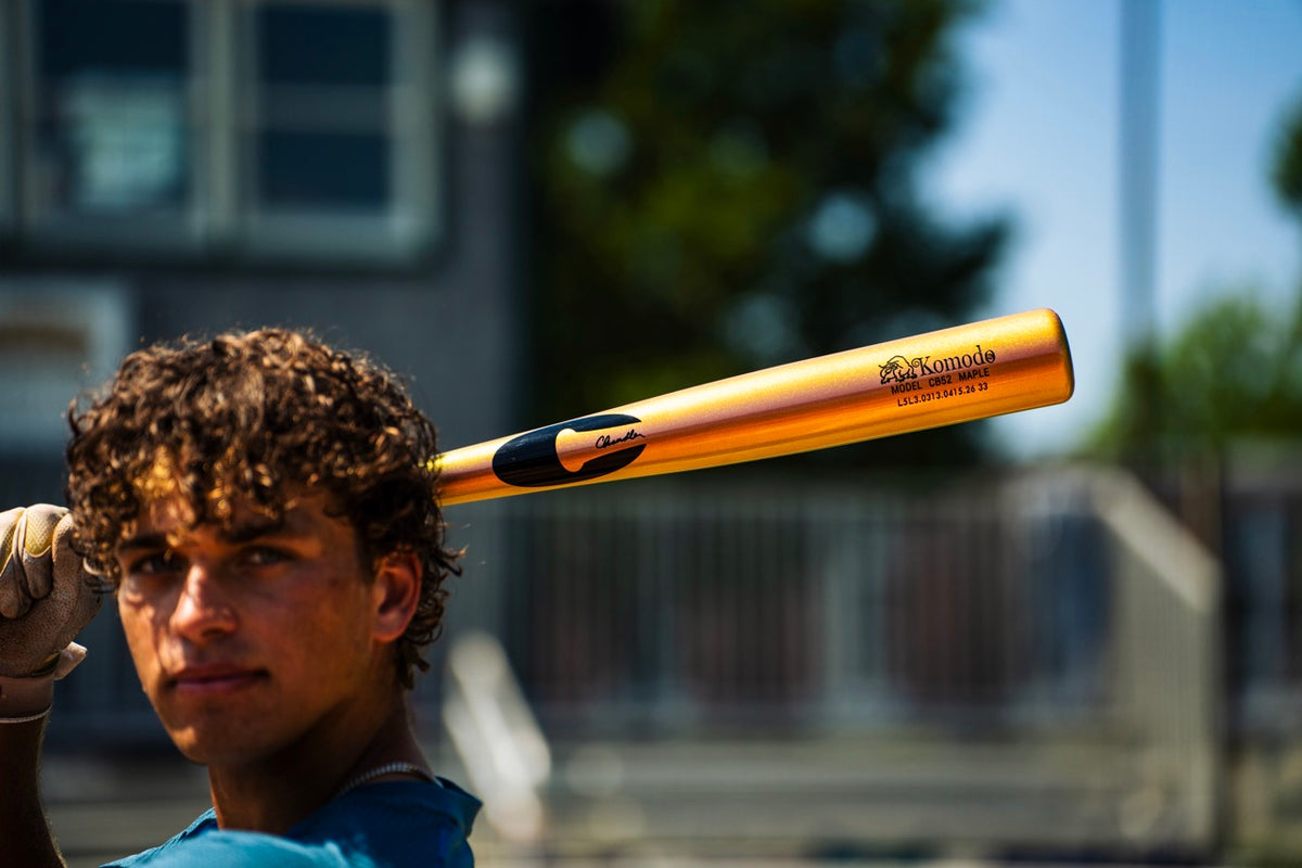 Smart Drying. Stronger Wood.